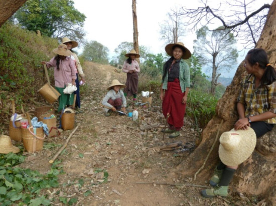 Premier bilan des globe-croqueurs lyonnais après 4 mois de voyage en Asie Premier bilan des globe-croqueurs lyonnais après 4 mois de voyage en Asie