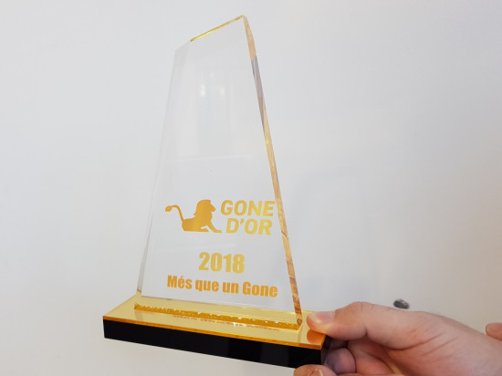 La première édition du Gone d’Or va récompenser le meilleur joueur de l’OL !