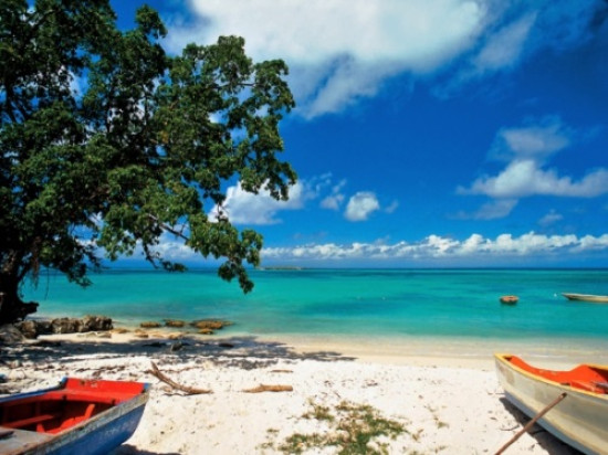 Lyon : une adjointe du 1er touche encore ses indemnités malgré une mutation en Guadeloupe