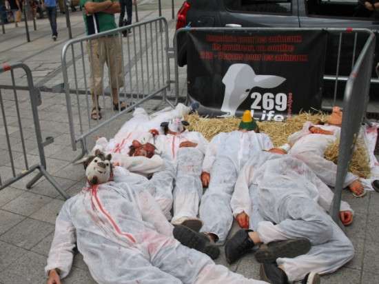 Un happening ce samedi à Lyon contre l’exploitation animale