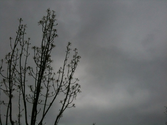 Météo à Lyon : une hausse des températures prévue dans la semaine