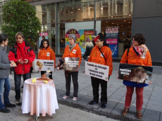 Poussins broy&eacute;s : un rassemblement &agrave; Lyon devant le Monoprix Cordeliers
