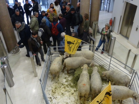 Attaques de loups : la DREAL à Lyon envahie par des paysans ce jeudi