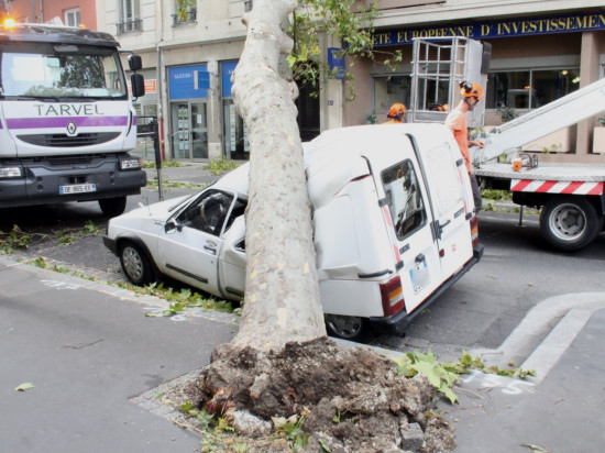 Vents violents dans le Rhône : un mort et plusieurs blessés, les pompiers en alerte