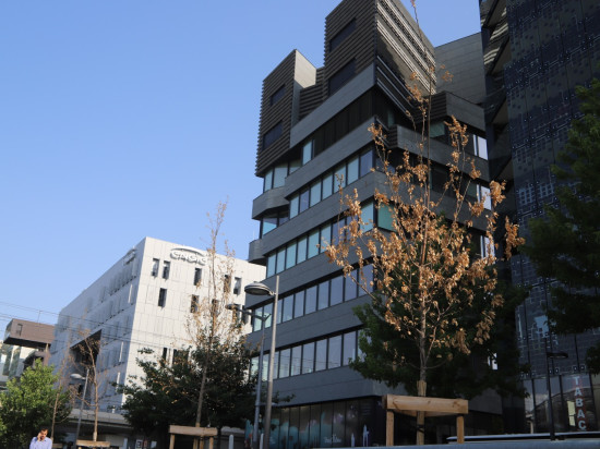 Canicule : les nouveaux arbres de la Confluence souffrent de la chaleur
