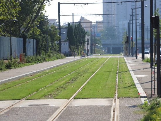 Tram T6 à Lyon : les tests et la formation des conducteurs débutent mi-septembre Tram T6 à Lyon : les tests et la formation des conducteurs débutent mi-septembre