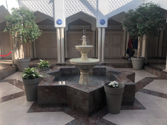 Lyon : l’Institut de civilisation musulmane inauguré en grande pompe - VIDEO