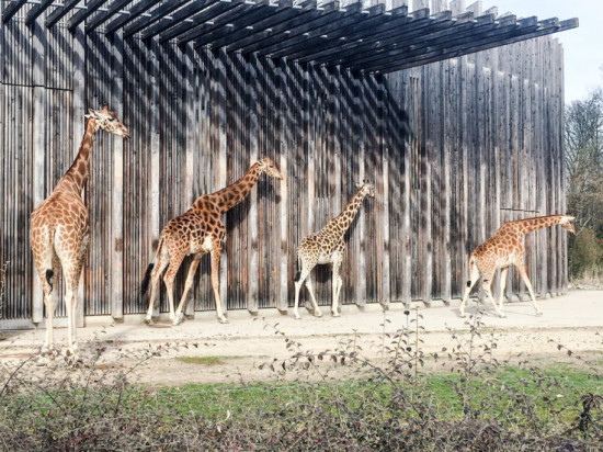 Que faire à Lyon ce week-end du 23, 24 & 25 juin 2017 ?