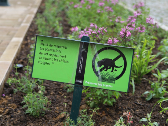 Les jardiniers de la mairie du 2e agacés par les crottes de chien dans les fleurs