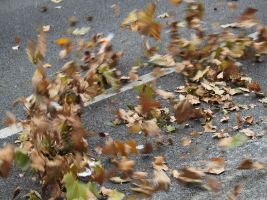 Gros coup de vent sur Lyon jusqu'à vendredi