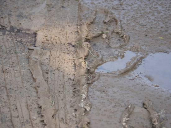 Inondations : l’état de catastrophe naturelle reconnu à Anse et à Lozanne