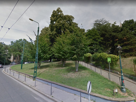 Vent violent : un arbre de 27 mètres de haut menace de tomber au Jardin des Plantes à Lyon