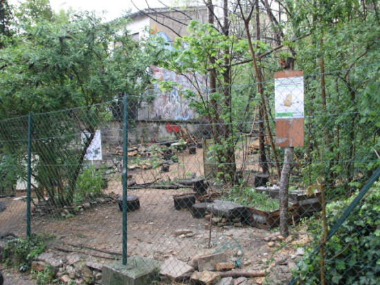 Jardin des "Pendarts" : Lyon Citoyenne & solidaire et EELV pour une convention d'occupation temporaire