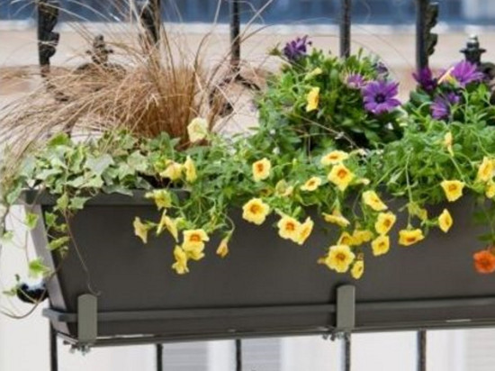 Saint-Priest : il jette des jardinières sur son épouse qui faisait selon lui trop de bruit