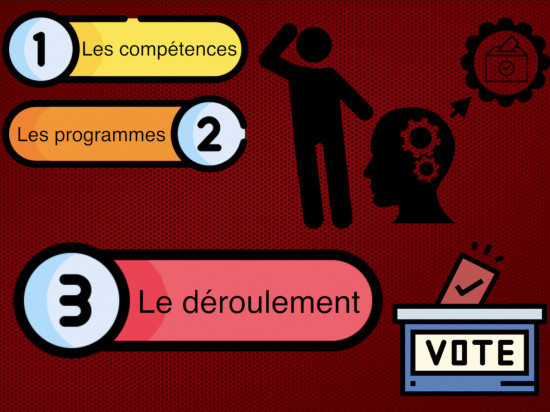 Le déroulement de l’élection municipale et métropolitaine de Lyon en 3 minutes – VIDEO