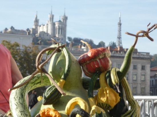 La 6e édition du Marché des saveurs place Bellecour