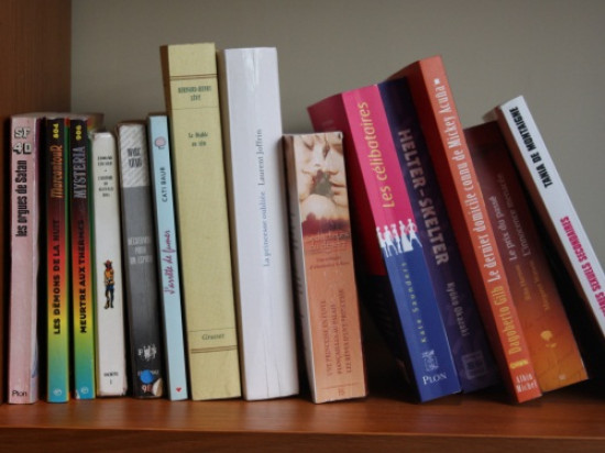 Lyon : les libraires indépendants inquiets pour leur avenir