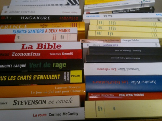 Lyon est la troisième ville française où on lit le plus