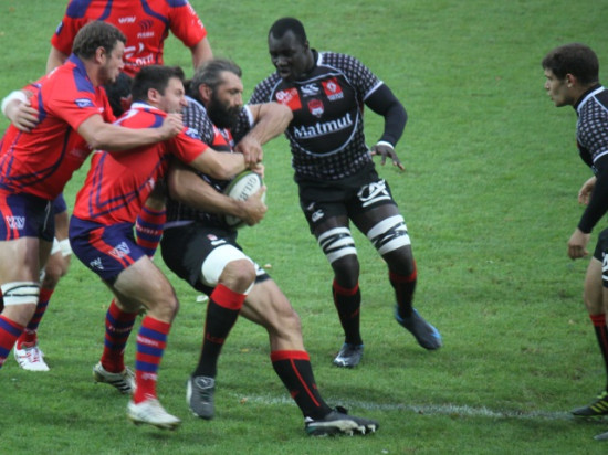 Le LOU Rugby très attendu face à Narbonne dimanche