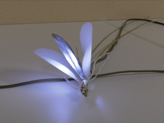 Les Lyonnais vont allumer les Berges du Rhône - VIDEO Les Lyonnais vont allumer les Berges du Rhône - VIDEO