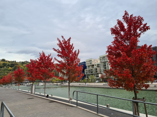 Le Mag des bons plans du week-end à Lyon (24 et 25 octobre)