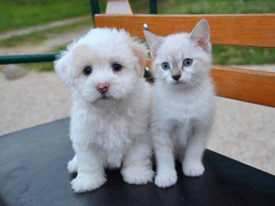 Le Mag des bons plans du week-end à Lyon (8 et 9 février)