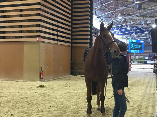 Le Mag des bons plans du week-end à Lyon (2 et 3 novembre)