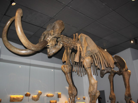 Tout ce qu'il faut savoir sur le Musée des Confluences