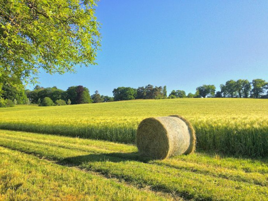 Que faire à Lyon ce week-end du 24, 25 & 26 août 2018 ?
