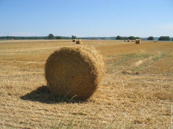 Fillette tuée par une meule de foin dans le Rhône : les circonstances du drame se précisent