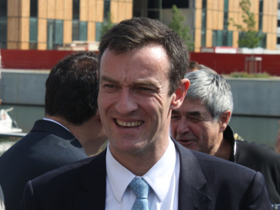 Euthanasie des éléphants à Lyon : Havard s'empare (enfin) du dossier