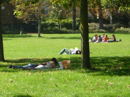 Météo à Lyon : un début d'automne ensoleillé et plutôt chaud !