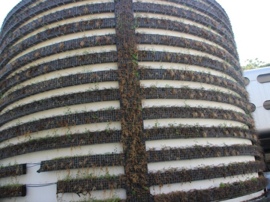 Lyon : le mur végétal de Perrache va être remplacé pour près de 30 000 euros