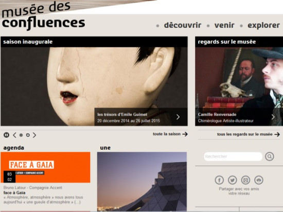 Le site internet du Musée des Confluences piraté par des "cyberjihadistes"