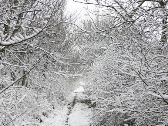 La neige présente sur les reliefs du Rhône, Lyon préservée La neige présente sur les reliefs du Rhône, Lyon préservée