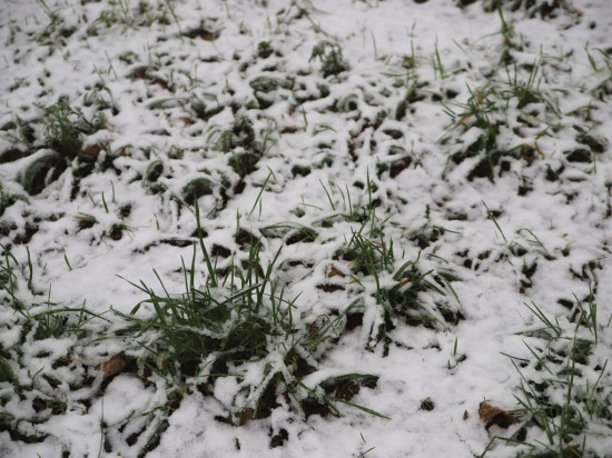 Neige : la Métropole de Lyon a déclenché son dispositif de viabilité hivernale