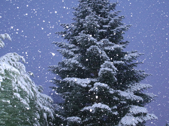 Le Rhône placé en alerte orange à la neige