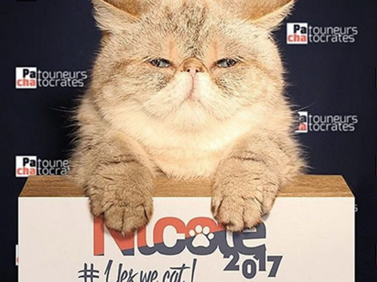 Nicole, la chatte lyonnaise, qui voulait devenir présidente de la République ! Nicole, la chatte lyonnaise, qui voulait devenir présidente de la République !