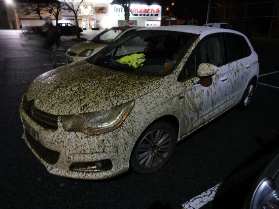Des militants anti-viande bloqués et même arrosés de lisier dans le Rhône
