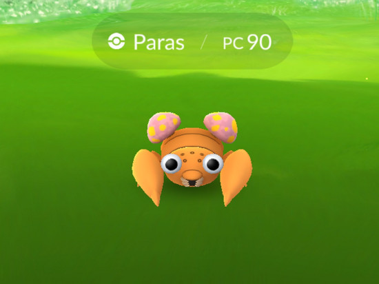 Les Pokémons interdits par le maire d'une commune près de Lyon