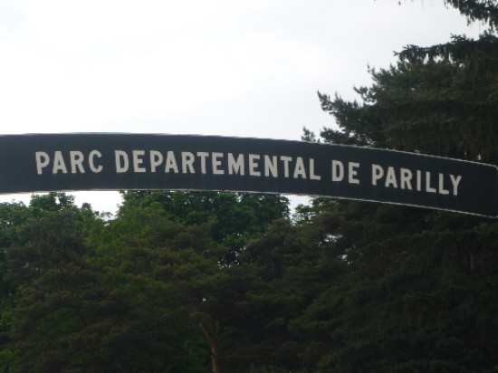 600 collégiens attendus pour la deuxième édition des Jeux des collèges, au parc de Parilly