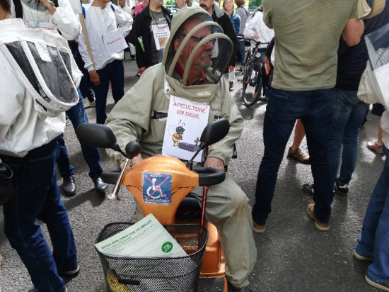 Lyon : une trentaine d'apiculteurs rassemblés contre la mort des abeilles
