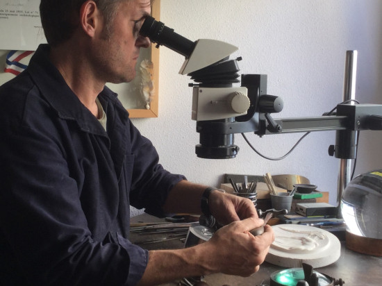 Une médaille made in Lyon pour les sénateurs