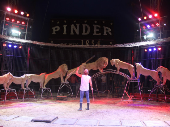 Pinder : "Un vrai cirque traditionnel avec sa ménagerie"