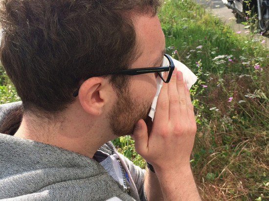 Pollens de graminées : le Rhône toujours en alerte rouge !