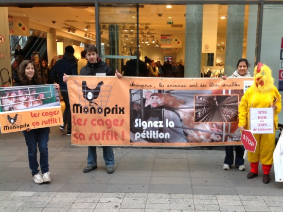 Mobilisation à Lyon contre l'élevage de poules en batterie