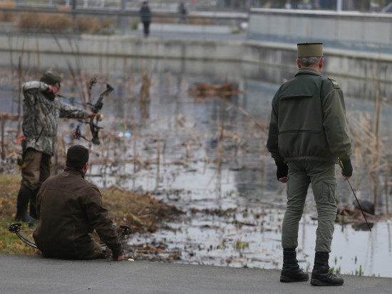 Lyon : les ragondins à nouveau chassés à l'arc de la Confluence