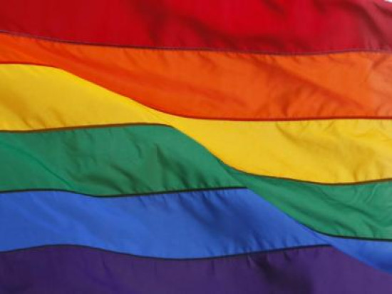 Lyon : une fonctionnaire de police homosexuelle privée de congé naissance