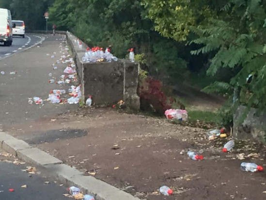 Run in Lyon : après la course, le nettoyage Run in Lyon : après la course, le nettoyage