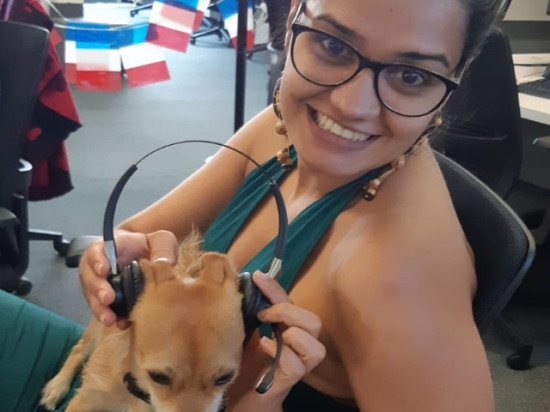 Lyon : ils viennent au travail avec leur chien !